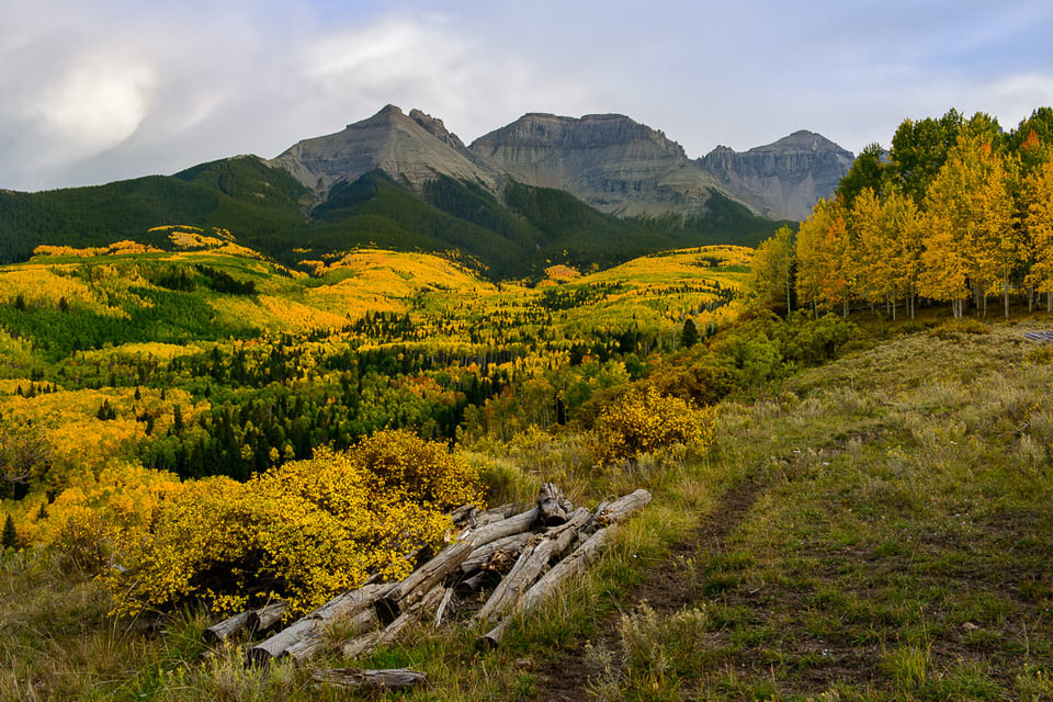 San Juan Mountains with Peak Colors