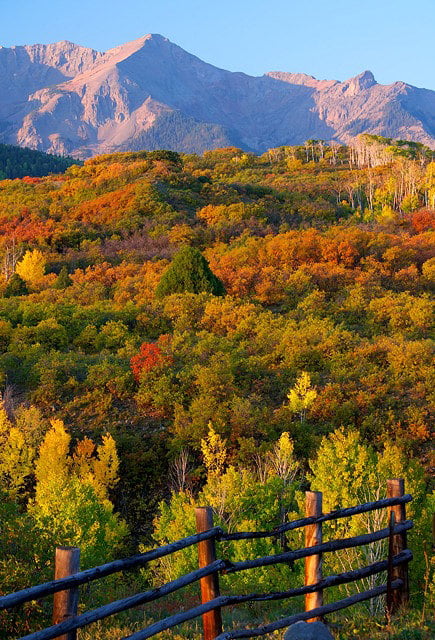 Sunrise Fence