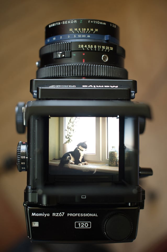 A Very Personal Mamiya RZ67 Pro Review
