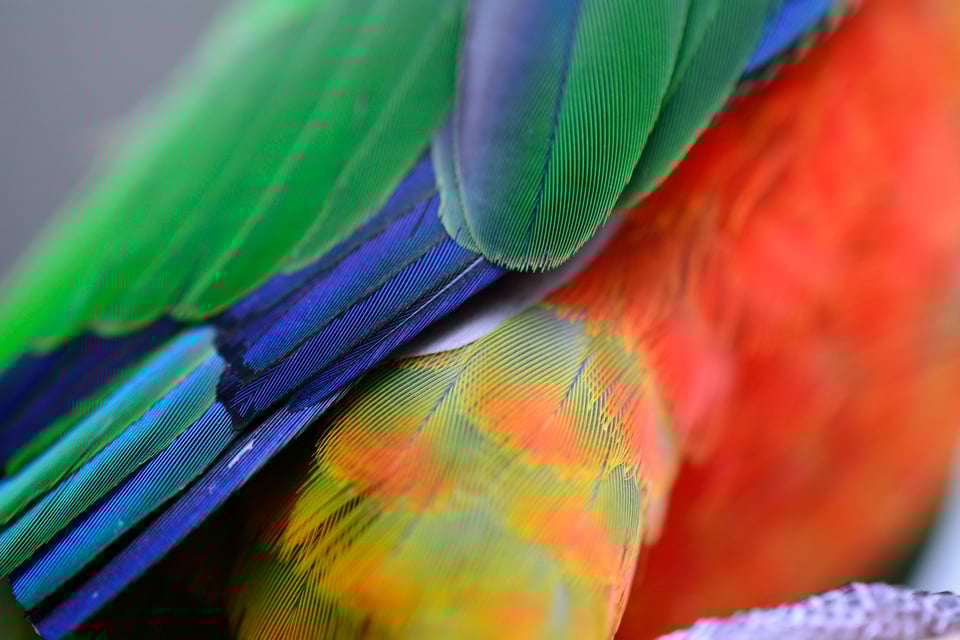Nikon D5200 Sample Image (5)