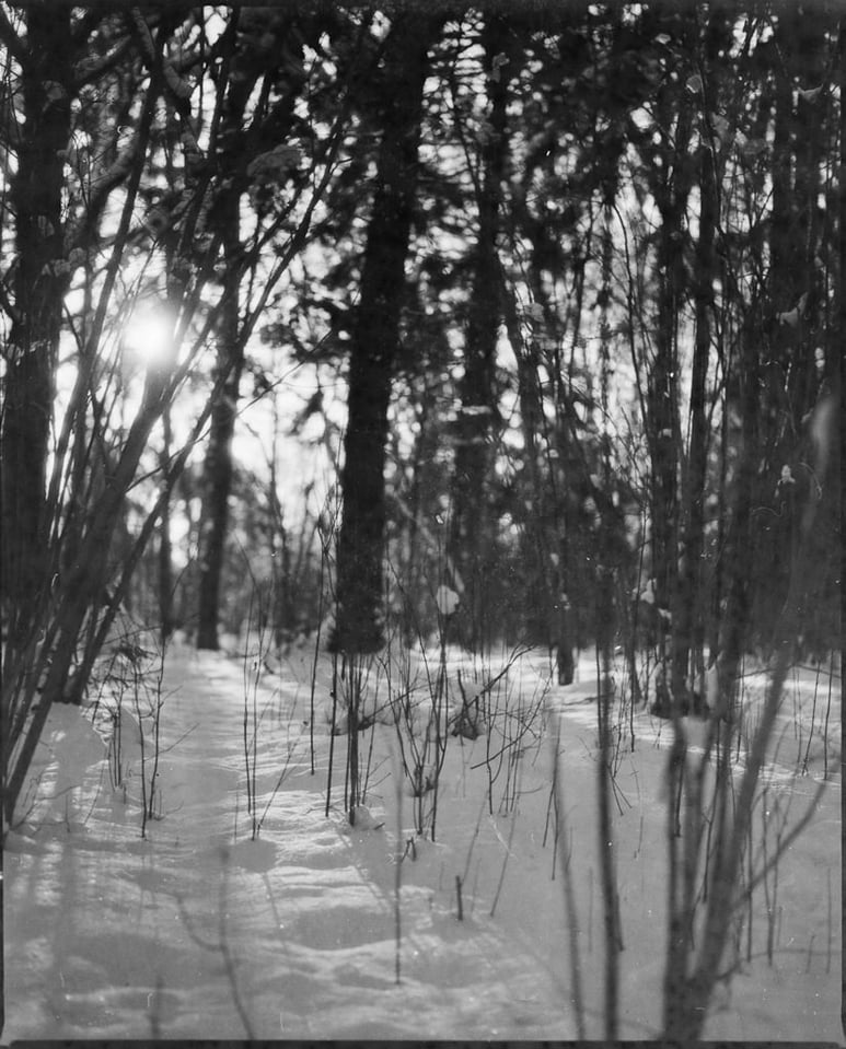 Svema 125 b&w film