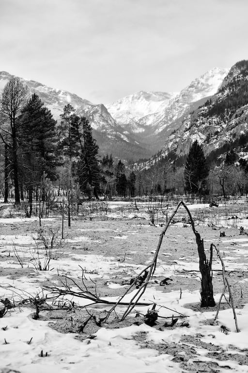 Burned basin in snow