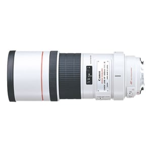 Canon EF 300mm f/4L IS USM