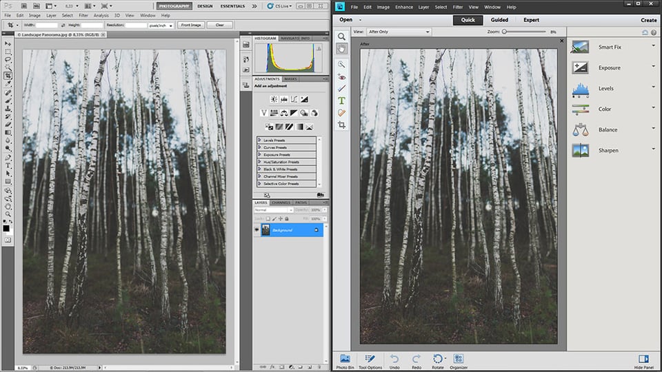 Adobe Photoshop or Photoshop Elements?