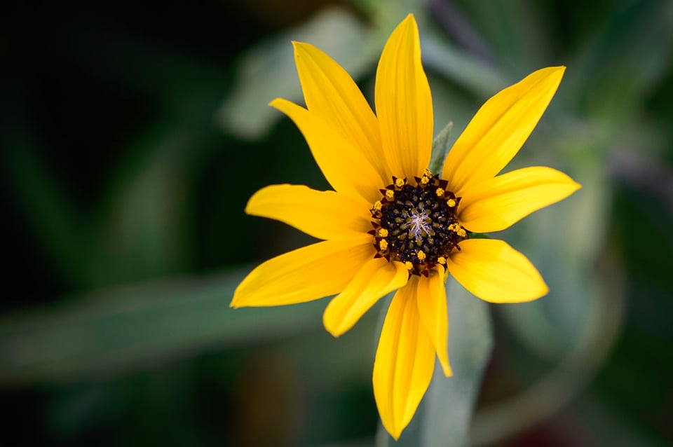 Nikon D3200 Sample (2)