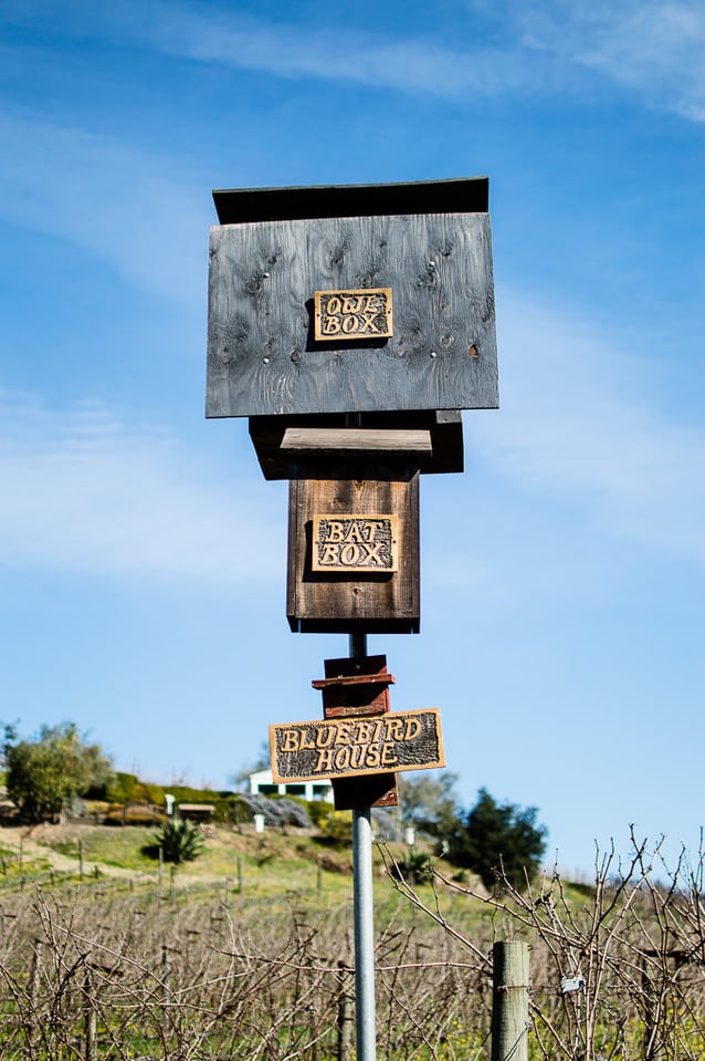 Nikon D3200 Sample (24)