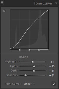 Tone Curve