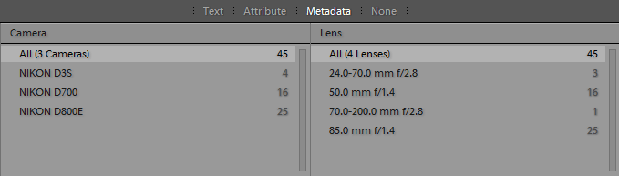 Lightroom Filter Bar