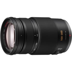 Panasonic Lumix G Vario 100-300mm f/4-5.6 OIS