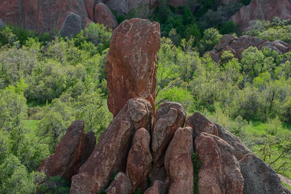 Nikon 80-400mm Sample (7)