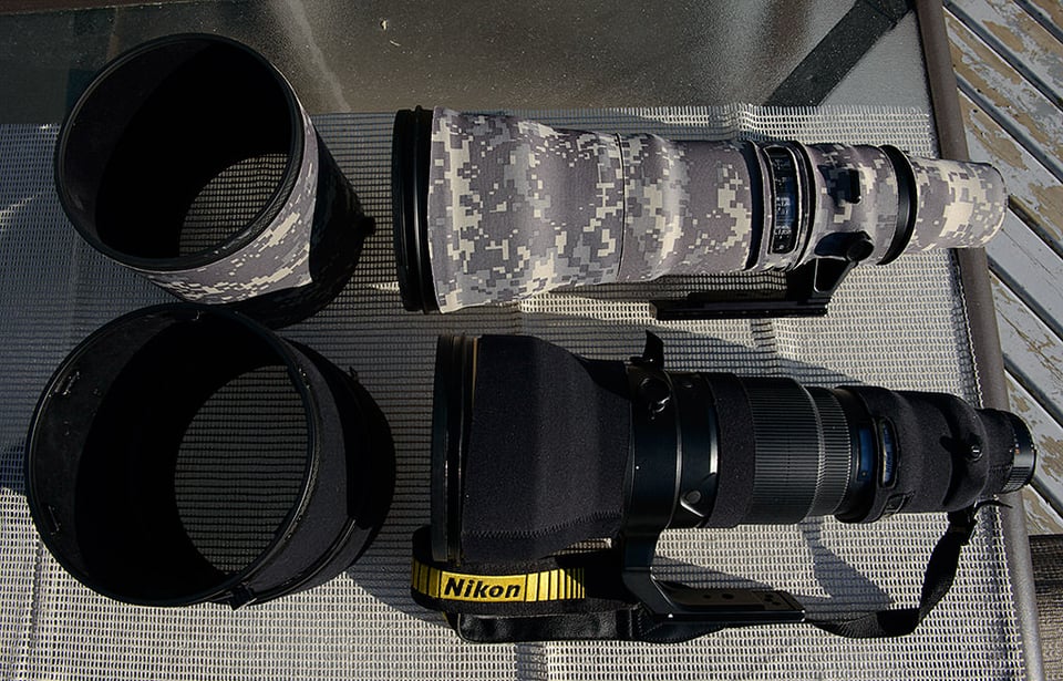 Nikon 800mm vs 600mm Comparison
