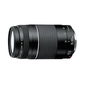 Canon EF 75-300mm f/4-5.6 III