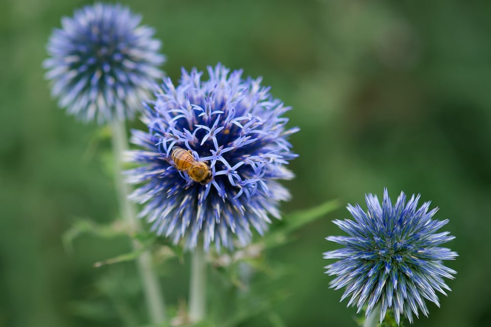 Fuji X-E1 Sample (5)