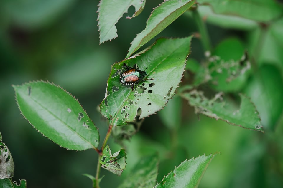 Fuji X-E1 Sample (7)