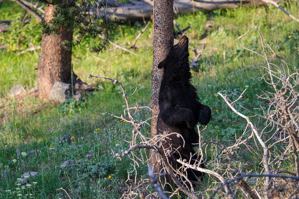 Sigma 120-300mm f/2.8 DG OS HSM Sample (11)