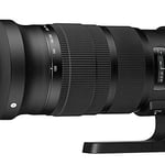 Sigma 120-300mm f/2.8 DG OS HSM