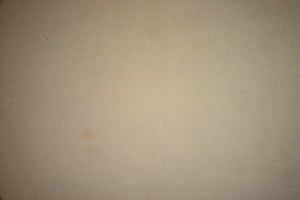 Nikon D610 Sensor Dust Before