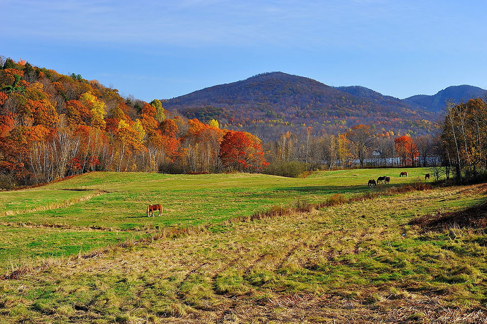 Campagne paisible a Bromont @ f/8