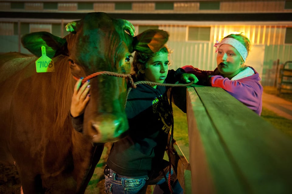 Two Girls Cow