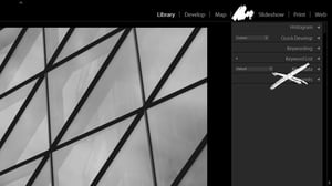 Lightroom Interface Customization Tips