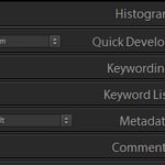 Metadata Panel Tabs