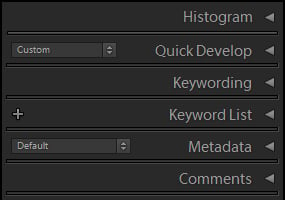 Metadata Panel Tabs