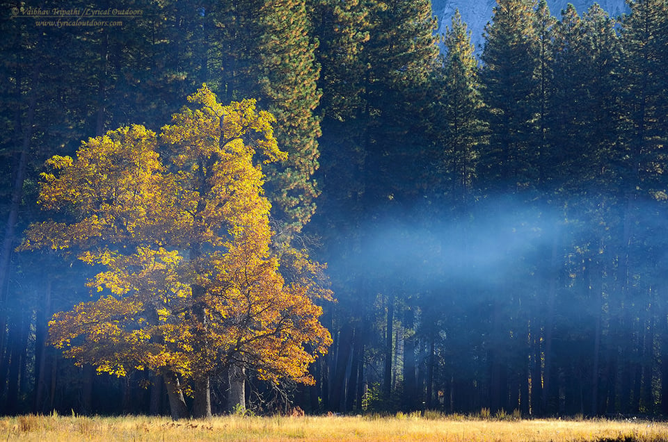 Yosemite in Autumn (13)