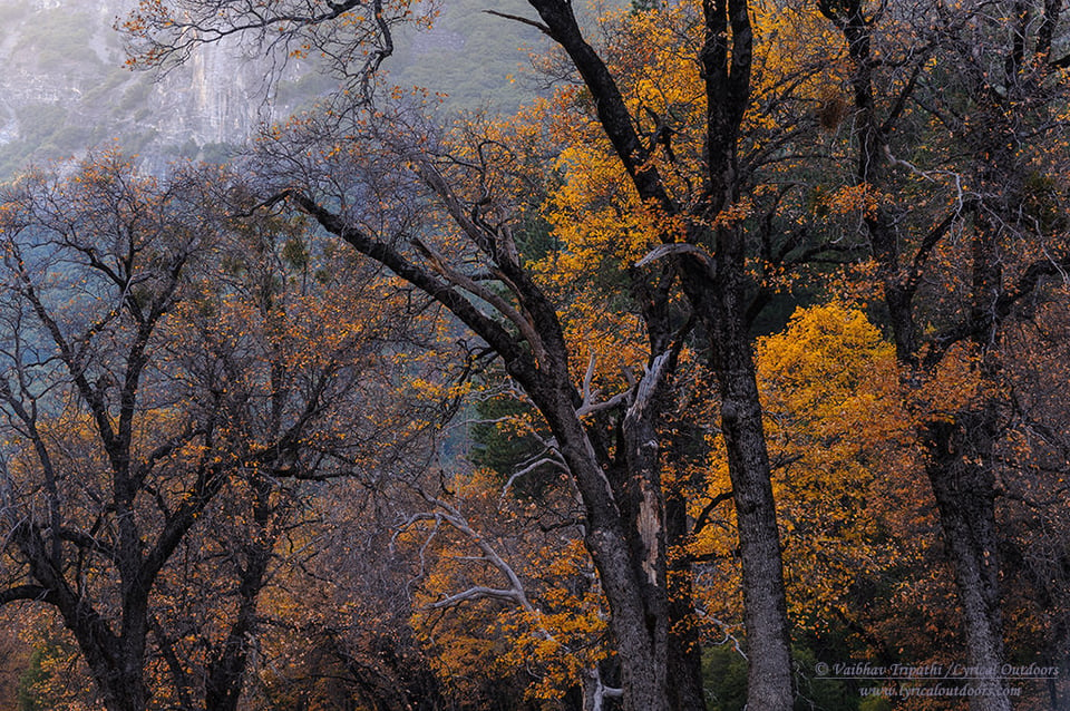 Yosemite in Autumn (2)
