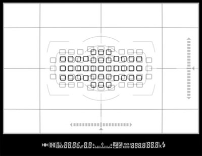 Nikon Df vs D800 Viewfinder Overlay