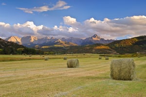 San Juan Mountains Hay