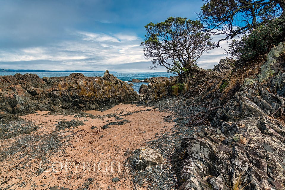 Coromandel