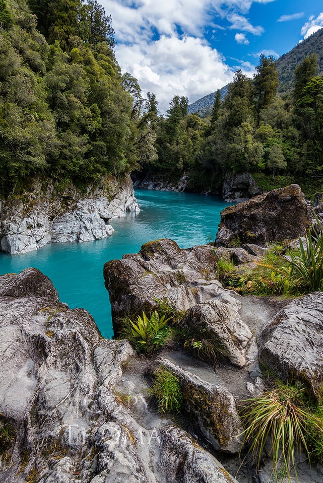 Haast Highway #2