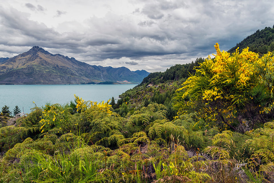Queesntown to Glenorchy