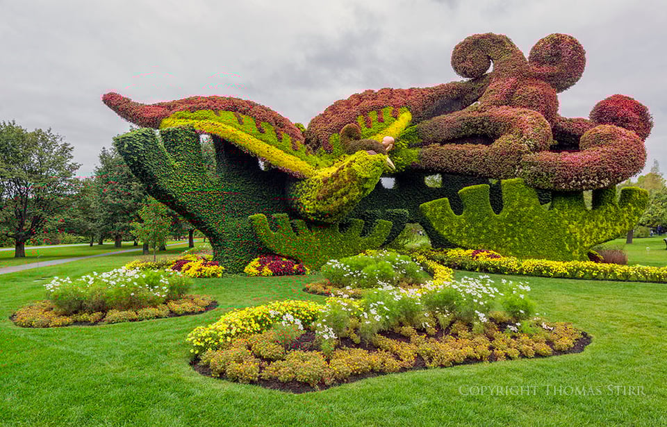 Mosaiculture (13)