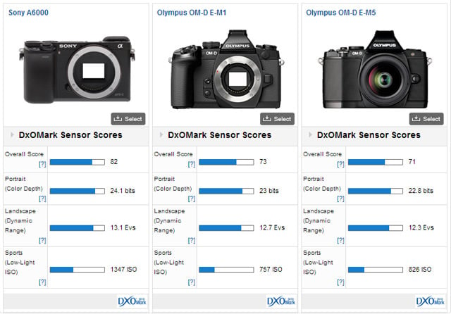 Olympus OM-D E-M1 vs E-M5 vs Sony A6000