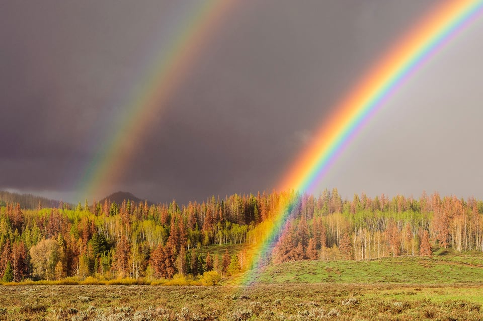 Rainbow Touching Ground