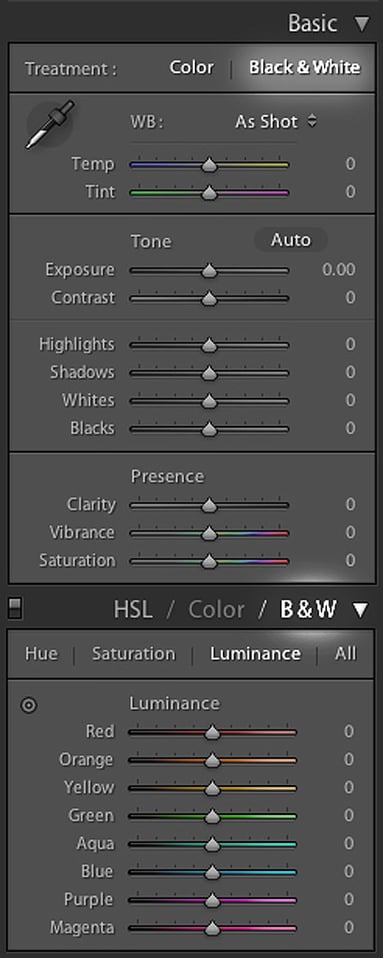 Lightroom Black and White Settings