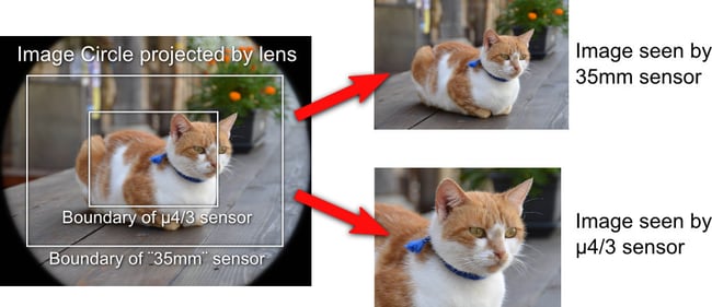 Sensor_vs_Size Sensor_vs_Size