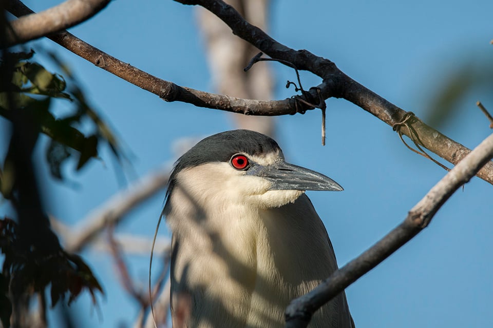 Tamron SP 150-600mm Sample Image #2