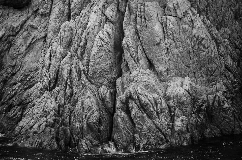 Verm China Cove Point Lobos