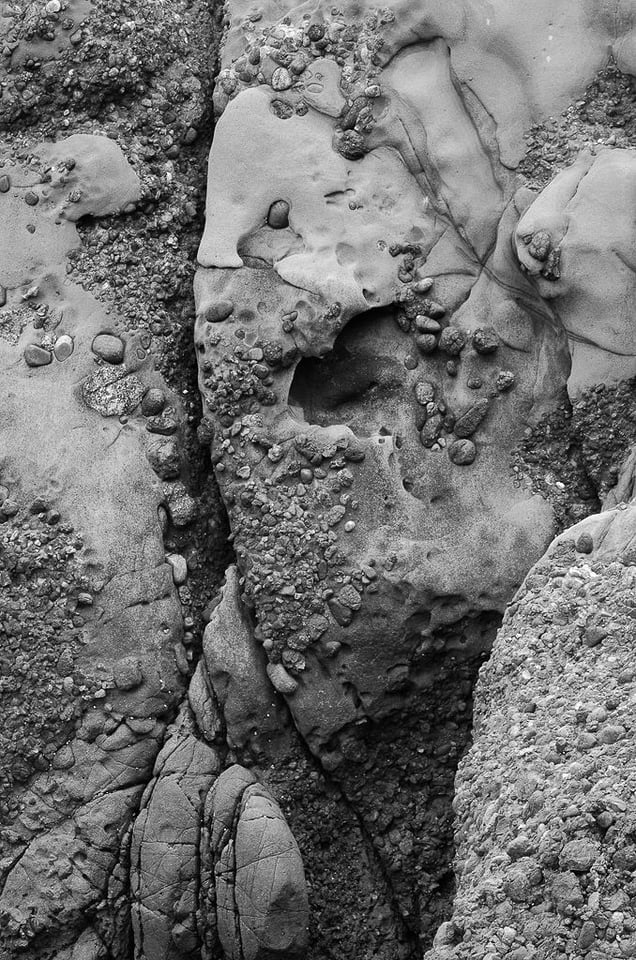 Verm Conglomerate Point Lobos