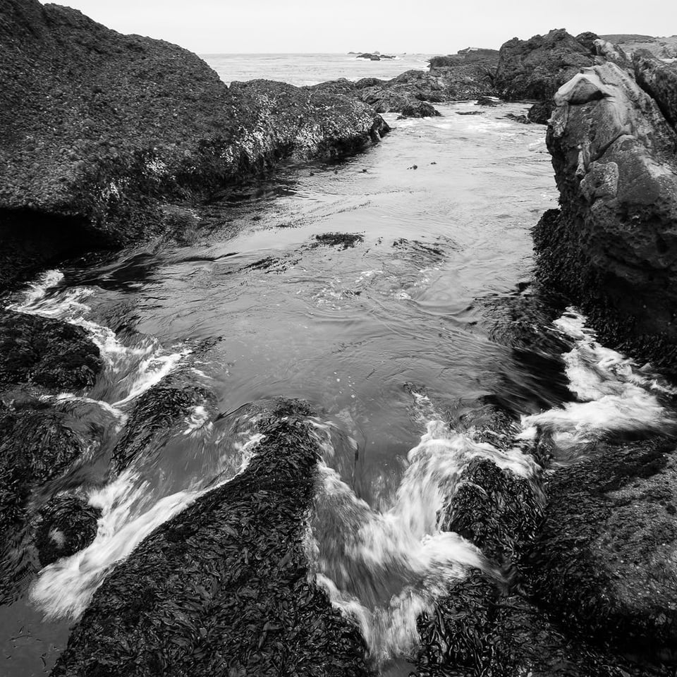 Verm Inlet Point Lobos