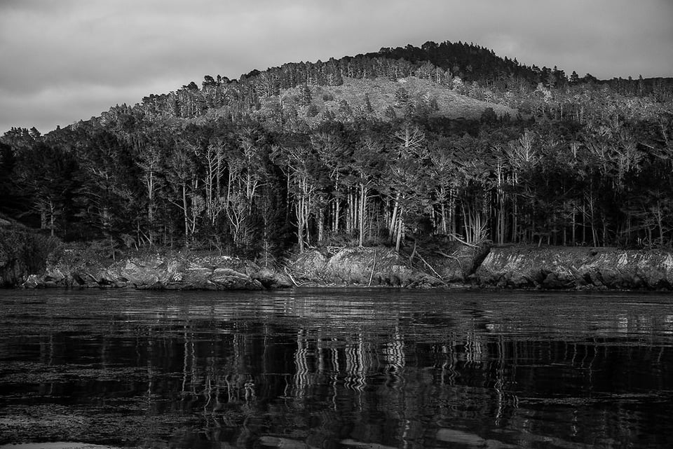 Verm Whalers Cove Point Lobos