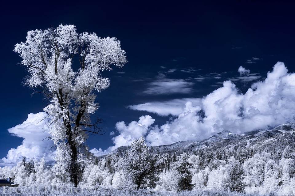 Grand Tetons