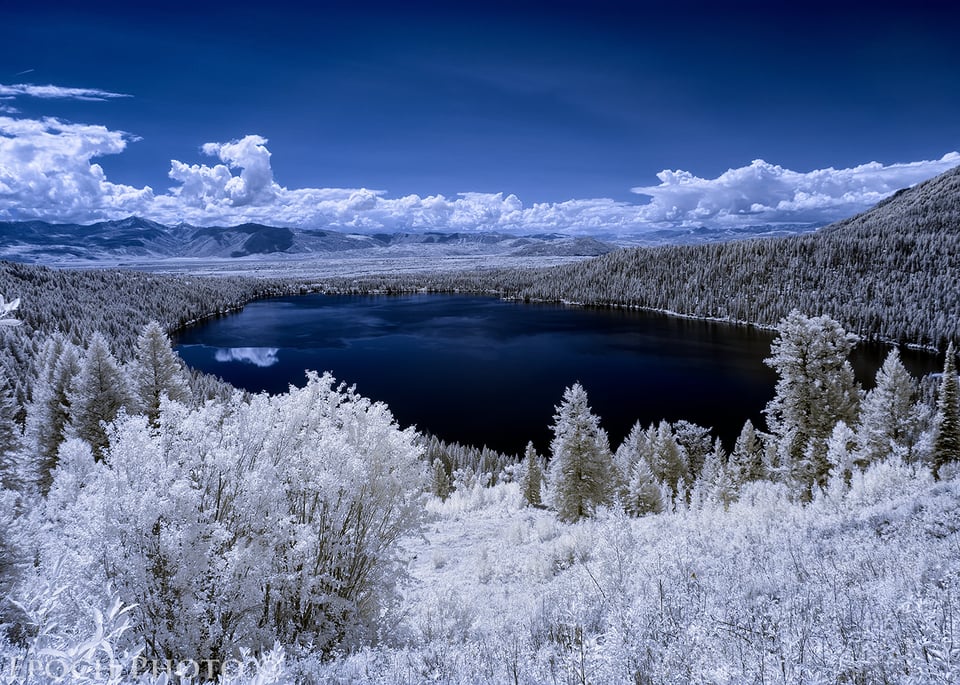 Phelps Lake Overlook