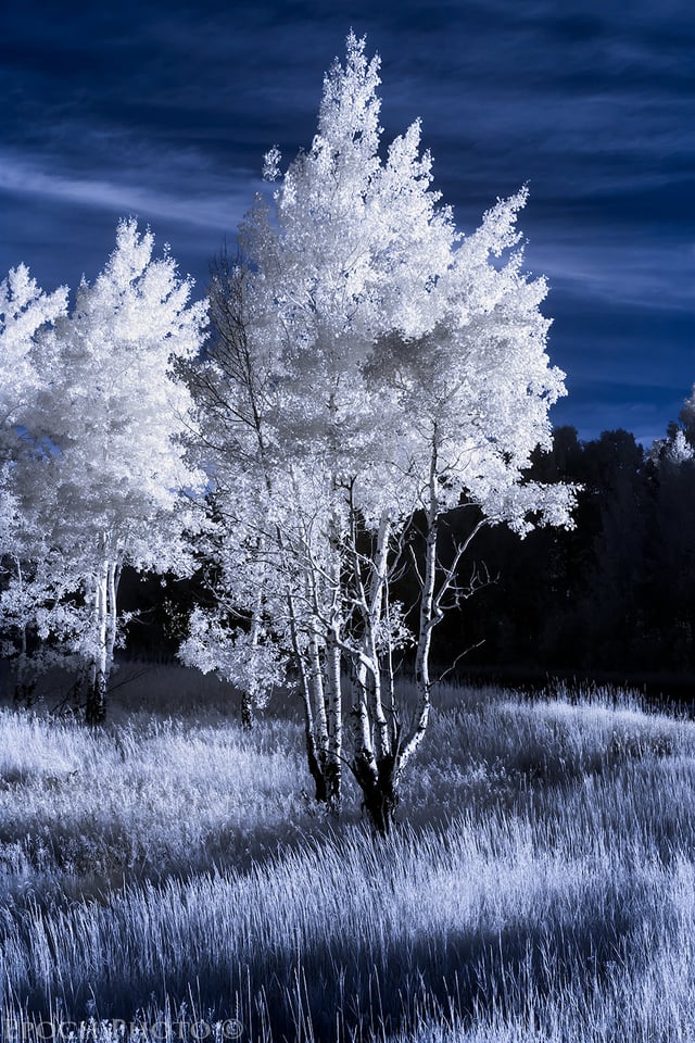 Yellowstone - Sunrise in Infrared