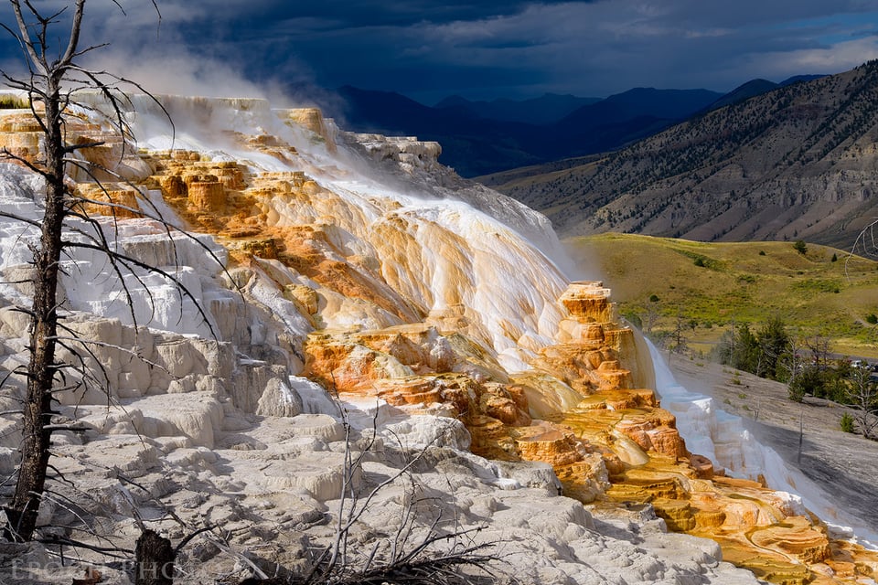 Mammoth Hot Springs