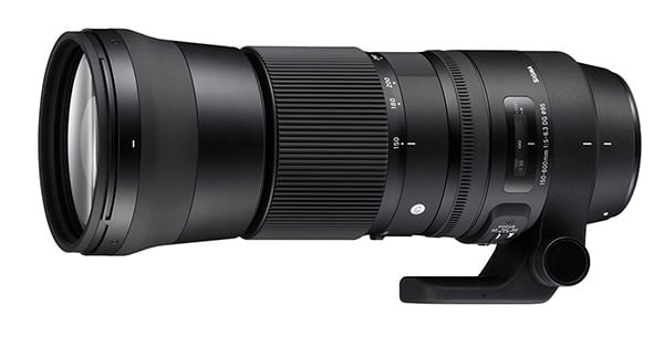 Sigma 150-600mm f/5-6.3 DG OS HSM Contemporary Review