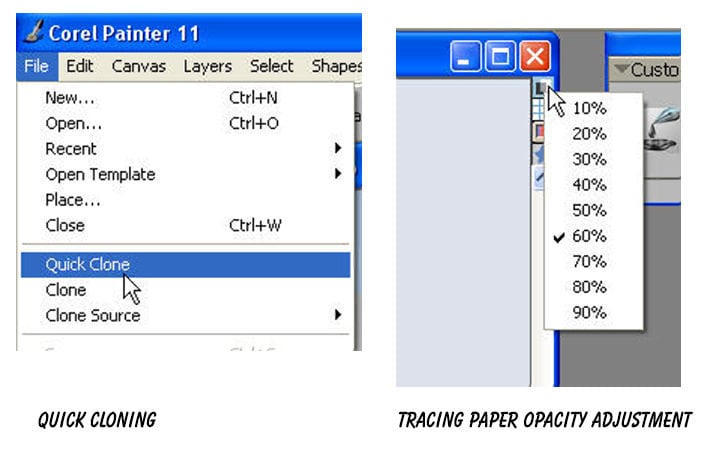 Aplomado Falcon Tutorial Steps 06 Aplomado Falcon Tutorial Steps 06