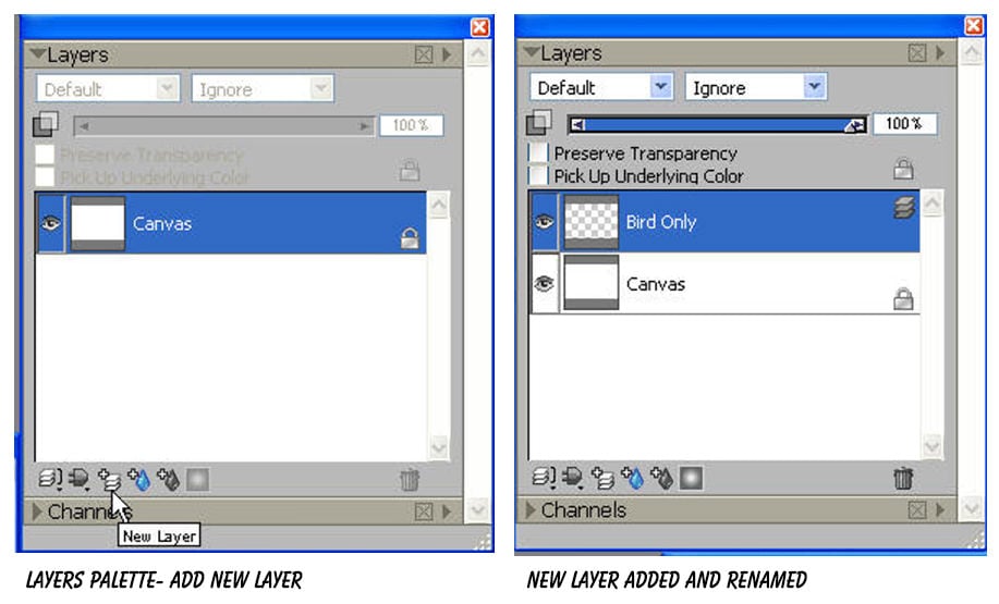 Aplomado Falcon Tutorial Steps 07 Aplomado Falcon Tutorial Steps 07